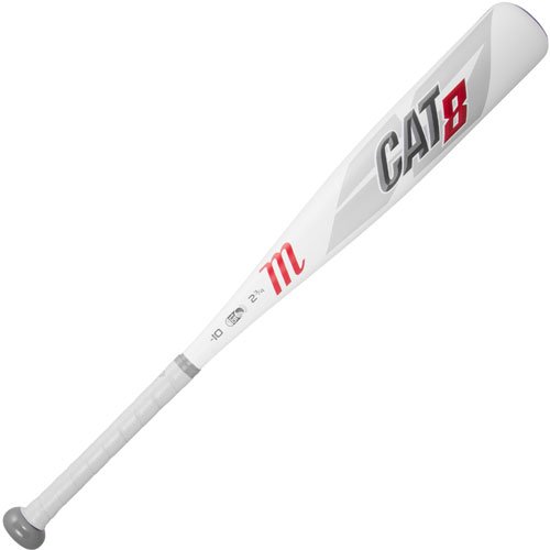 Best Baseball Bats for 10 Year Old for 2022 Reviews & Guide [Best Rated