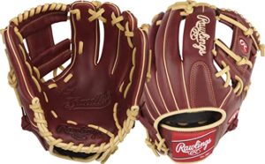 Rawlings Sandlot Series Baseball Gloves