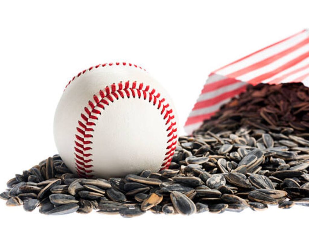 Why Do Baseball Players Chew Sunflower Seeds The Secret Behind their