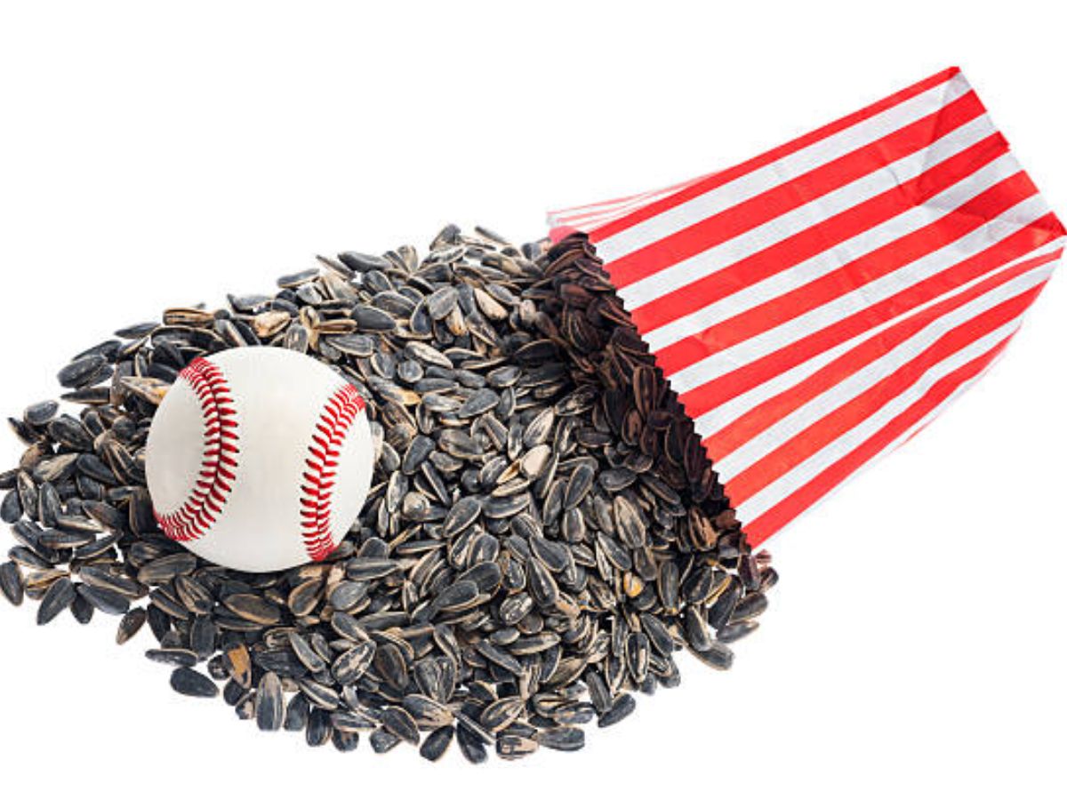 Why Do Baseball Players Chew Sunflower Seeds The Secret Behind their